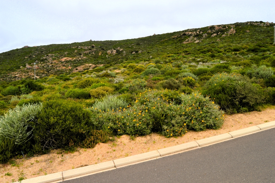 0 Bedroom Property for Sale in St Helena Views Western Cape